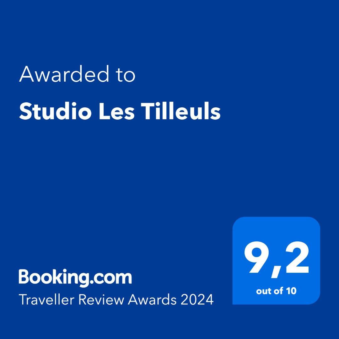 Studio Les Tilleuls Амбуаз Экстерьер фото
